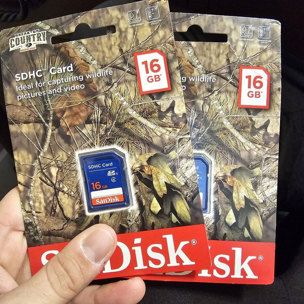 2 SanDisk 16GB SDHC Card